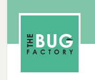 The Bug Factory