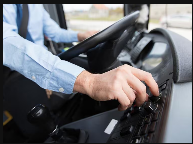 Mannu Choudhary Driver Service Provider