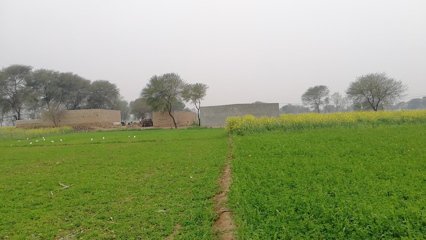 Ch BROS POULTRY &#038; agricultural farm