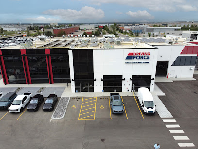 DRIVING FORCE Vehicle Rentals, Sales &#038; Leasing