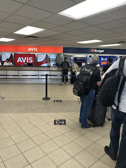 Avis Car Rental