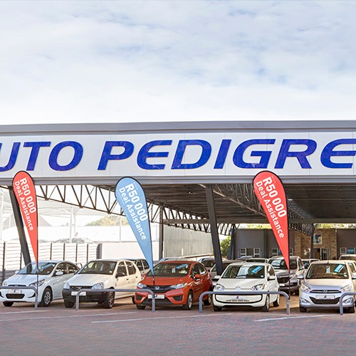 Auto Pedigree Southgate